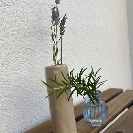 Apartment Zora *