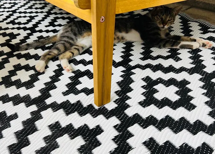 Zora Appartement Trogir